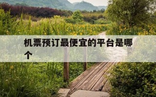 机票预订最便宜的平台是哪个-机票预订哪里便宜