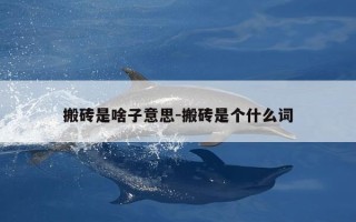 搬砖是啥子意思-搬砖是个什么词