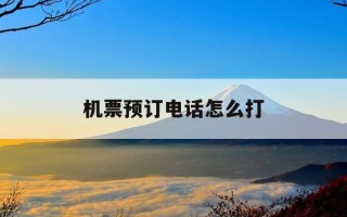 机票预订电话怎么打-机票怎么打电话预定