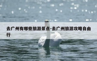 去广州有哪些旅游景点-去广州旅游攻略自由行