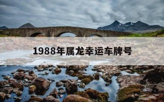 1988年属龙幸运车牌号-1988年属龙人车牌号怎样选