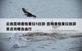 云南昆明香格里拉5日游-昆明香格里拉旅游景点攻略自由行