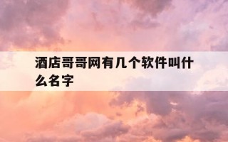 酒店哥哥网有几个软件叫什么名字-
