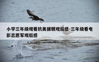 小学三年级观看抗美援朝观后感-三年级看电影志愿军观后感