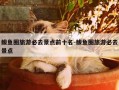 鲅鱼圈旅游必去景点前十名-鲅鱼圈旅游必去景点