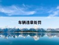 车辆违章处罚-车辆违章处罚决定书编号怎么查询