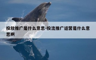 投放推广是什么意思-投流推广运营是什么意思啊