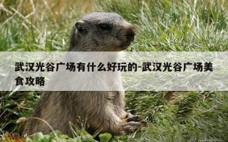 武汉光谷广场有什么好玩的-武汉光谷广场美食攻略