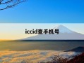 iccid查手机号-iccid查手机号码