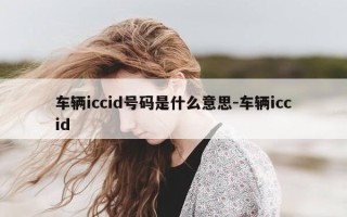 车辆iccid号码是什么意思-车辆iccid