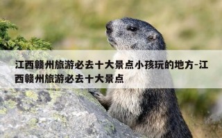 江西赣州旅游必去十大景点小孩玩的地方-江西赣州旅游必去十大景点