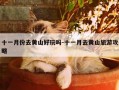 十一月份去黄山好玩吗-十一月去黄山旅游攻略