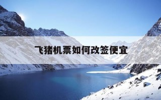 飞猪机票如何改签便宜-飞猪订的飞机票怎么改签