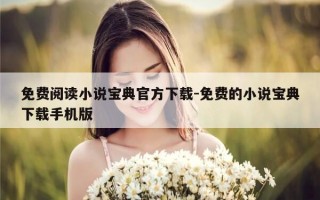 免费阅读小说宝典官方下载-免费的小说宝典下载手机版