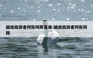 越南旅游者阿俊阿辉是谁-越南旅游者阿俊阿辉