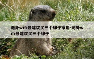 随身wifi最建议买三个牌子家用-随身wifi最建议买三个牌子