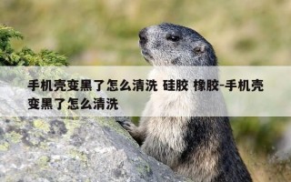 手机壳变黑了怎么清洗 硅胶 橡胶-手机壳变黑了怎么清洗