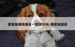 西安旅游团报名一日游99元-西安旅游团