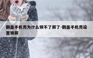 翻盖手机壳为什么锁不了屏了-翻盖手机壳设置锁屏
