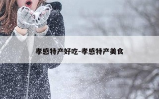 孝感特产好吃-孝感特产美食