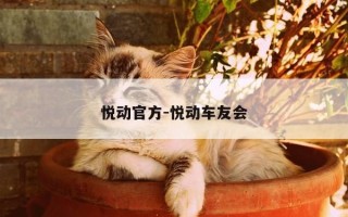 悦动官方-悦动车友会