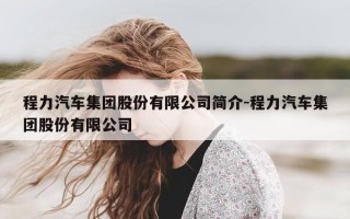 程力汽车集团股份有限公司简介-程力汽车集团股份有限公司