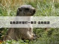 自助游环球打一数字-自助旅游