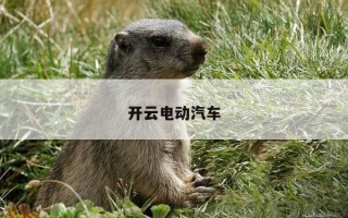 开云电动汽车