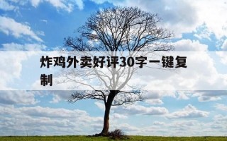 炸鸡外卖好评30字一键复制-美团外卖评价通用