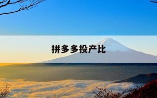 拼多多投产比-拼多多投产比35成交100花费多少