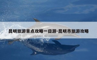 昆明旅游景点攻略一日游-昆明市旅游攻略