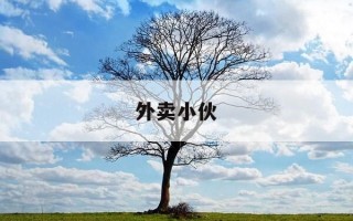 外卖小伙-外卖小伙接单后续剧情