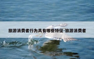 旅游消费者行为具有哪些特征-旅游消费者