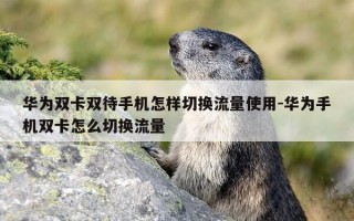 华为双卡双待手机怎样切换流量使用-华为手机双卡怎么切换流量