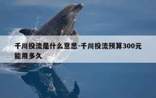 千川投流是什么意思-千川投流预算300元能用多久