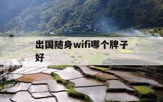 出国随身wifi哪个牌子好-出国随身wifi哪个牌子好用