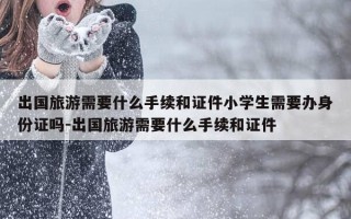 出国旅游需要什么手续和证件小学生需要办身份证吗-出国旅游需要什么手续和证件