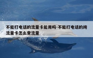不能打电话的流量卡能用吗-不能打电话的纯流量卡怎么查流量