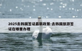 2025去韩国签证最新政策-去韩国旅游签证在哪里办理