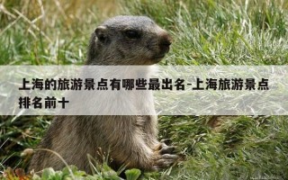 上海的旅游景点有哪些最出名-上海旅游景点排名前十