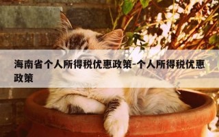 海南省个人所得税优惠政策-个人所得税优惠政策