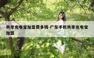 共享充电宝加盟费多钱-广东手机共享充电宝加盟