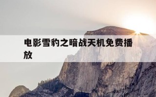 电影雪豹之暗战天机免费播放-电影雪豹全集播放