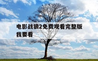 电影战狼2免费观看完整版我要看-电影战狼2完整版免费观看影片