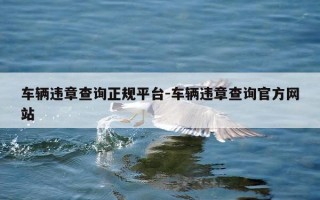 车辆违章查询正规平台-车辆违章查询官方网站