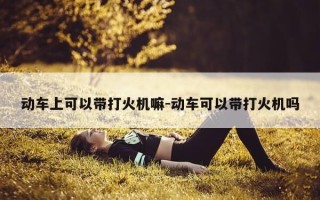 动车上可以带打火机嘛-动车可以带打火机吗