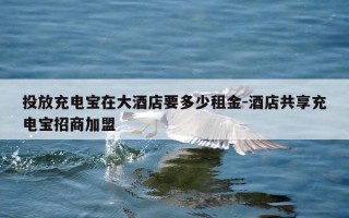 投放充电宝在大酒店要多少租金-酒店共享充电宝招商加盟