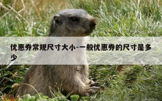 优惠券常规尺寸大小-一般优惠券的尺寸是多少