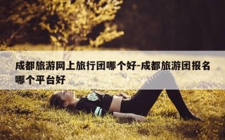 成都旅游网上旅行团哪个好-成都旅游团报名哪个平台好