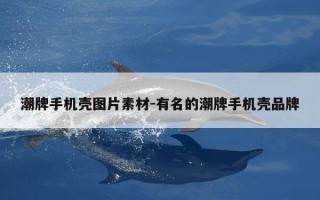 潮牌手机壳图片素材-有名的潮牌手机壳品牌